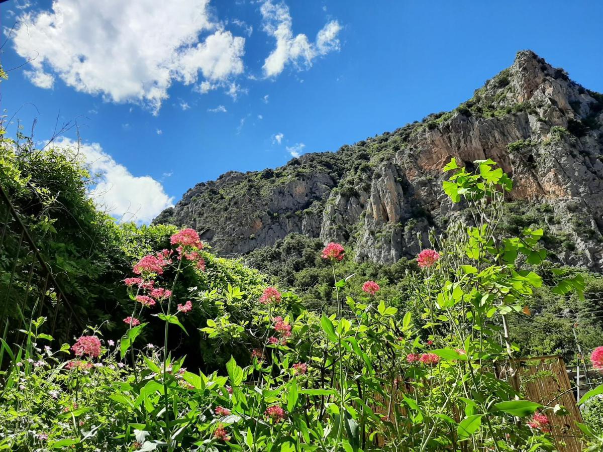 Les Chambres Chouettes Villefranche-de-Conflent Dış mekan fotoğraf